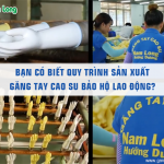 Bạn có biết quy trình sản xuất găng tay cao su bảo hộ lao động?