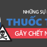 5 SỰ KẾT HỢP CHẤT TẨY RỬA GÂY CHẾT NGƯỜI, PHẢI TRÁNH