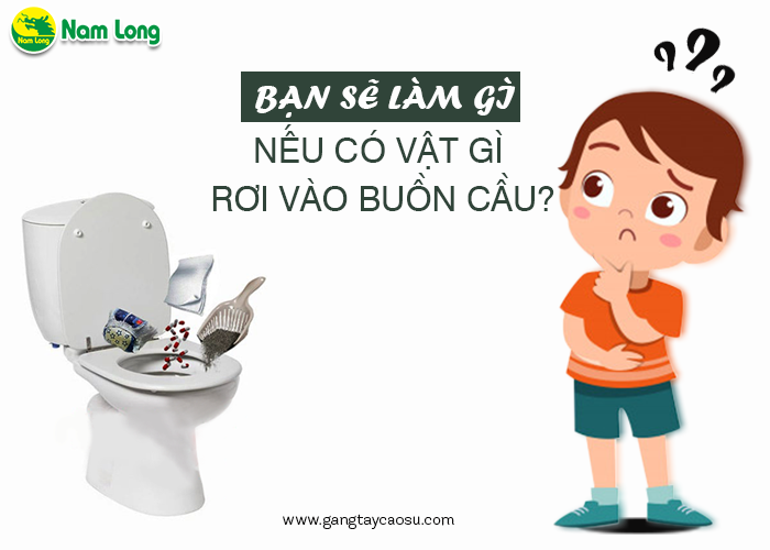 Bạn sẽ làm gì nếu có vật gì rơi vào bồn cầu-1