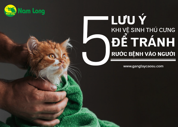 5 lưu ý khi vệ sinh thú cưng cùng găng tay cao su Nam Long