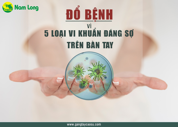 Đổ-bệnh-vì-5-loại-vi-khuẩn-đáng-sợ-trên-bàn-tay