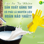 Cao su tự nhiên sản xuất găng tay có phải là nguyên liệu hoàn hảo nhất?