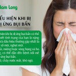 Dị ứng bụi bẩn là gì? nguyên nhân và cách phòng tránh dị ứng hiệu quả nhất