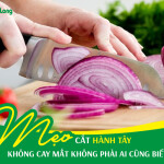 [Tổng hợp 10+] Mẹo cắt hành tây không bị cay mắt không phải ai cũng biết