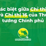 Cùng Găng tay cao su Nam Long  phòng chống dịch Covid-19, NĐCP 15-16