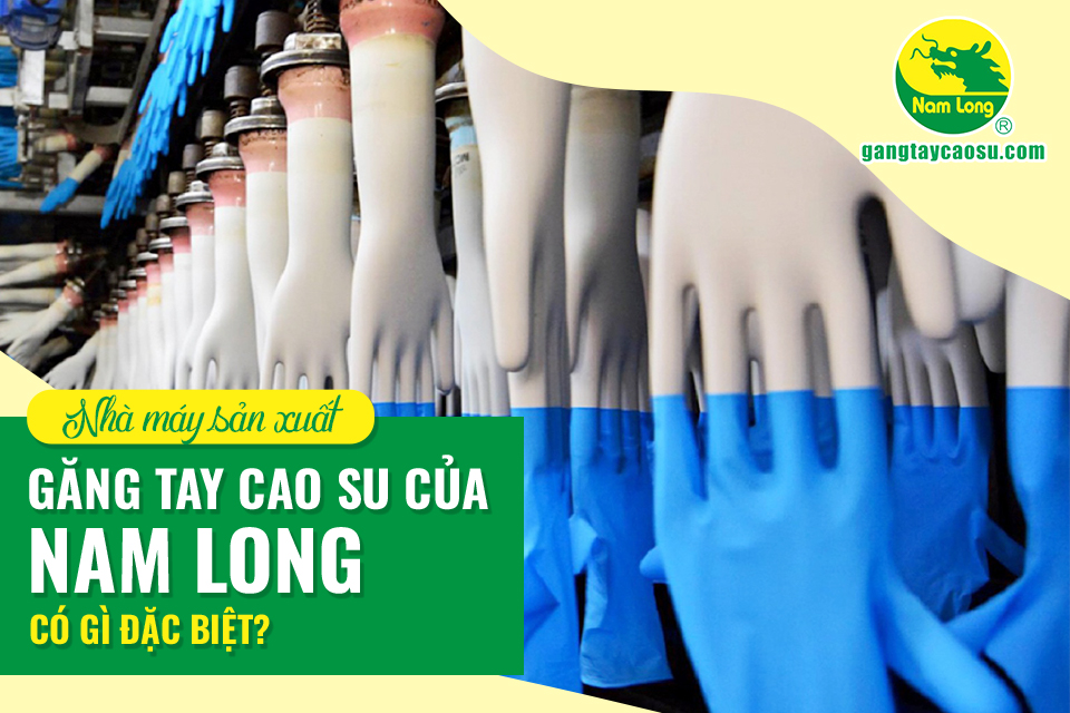 Nhà máy sản xuất găng tay cao su của Nam Long có gì đặc biệt?