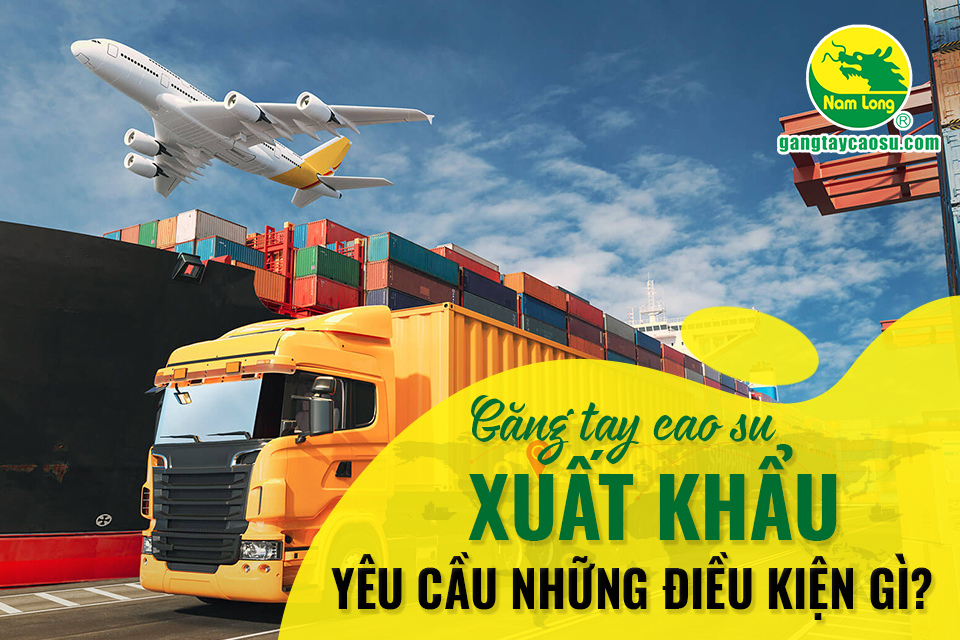 Găng tay cao su xuất khẩu yêu cầu những điều kiện gì?