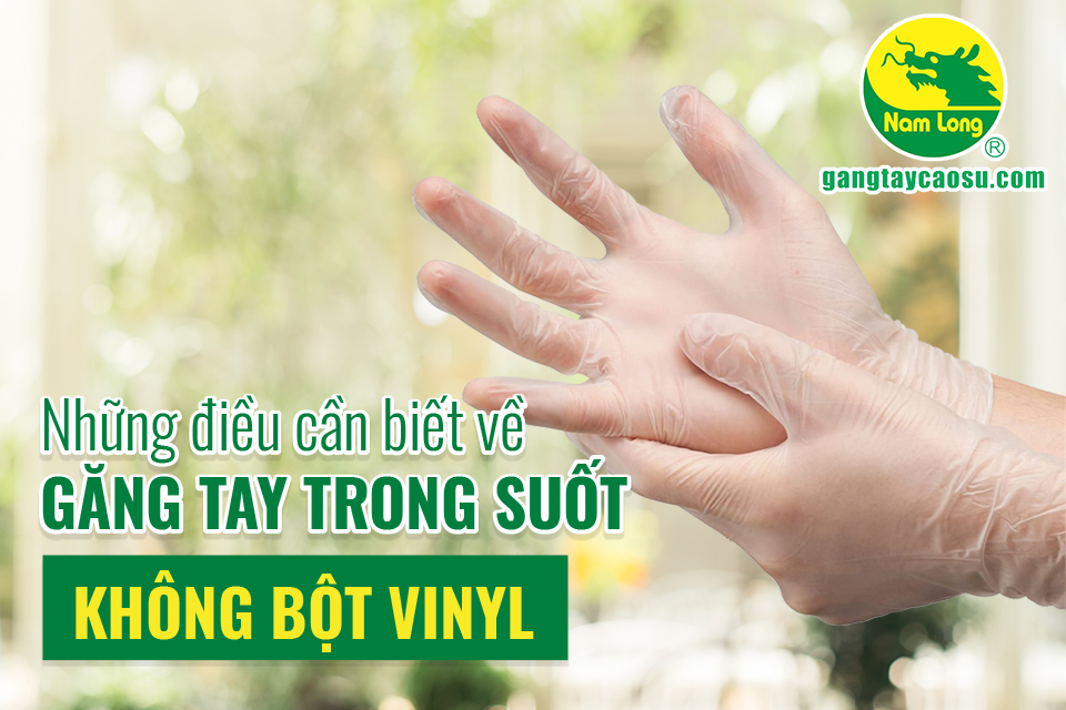 Những điều cần biết về găng tay trong suốt không bột Vinyl