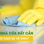 Tại sao dọn dẹp nhà cửa rất cần găng tay cao su vệ sinh?