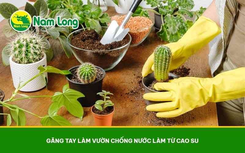 Gang tay lam vuon chong nuoc Nam Long