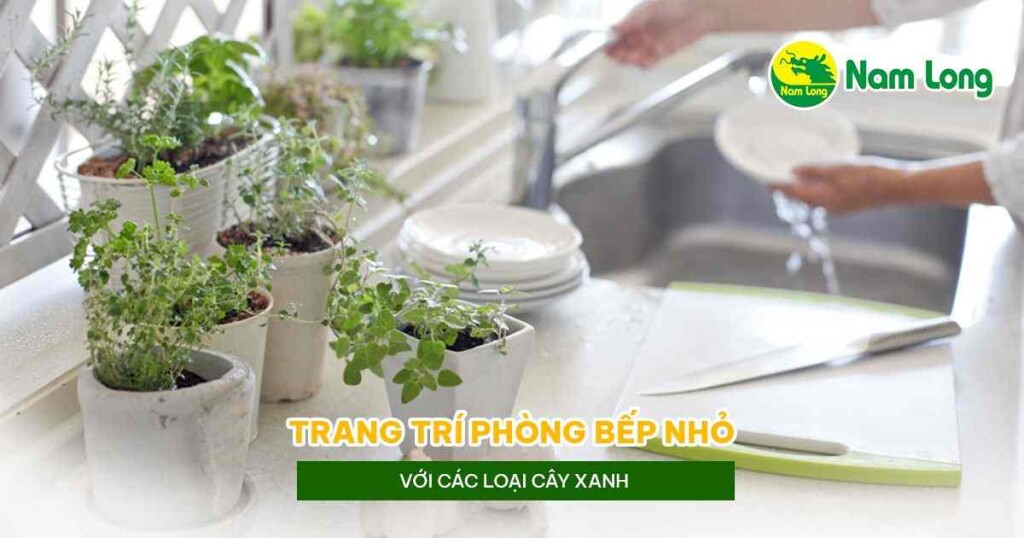 Trang tri phong bep nho hop phong thuy