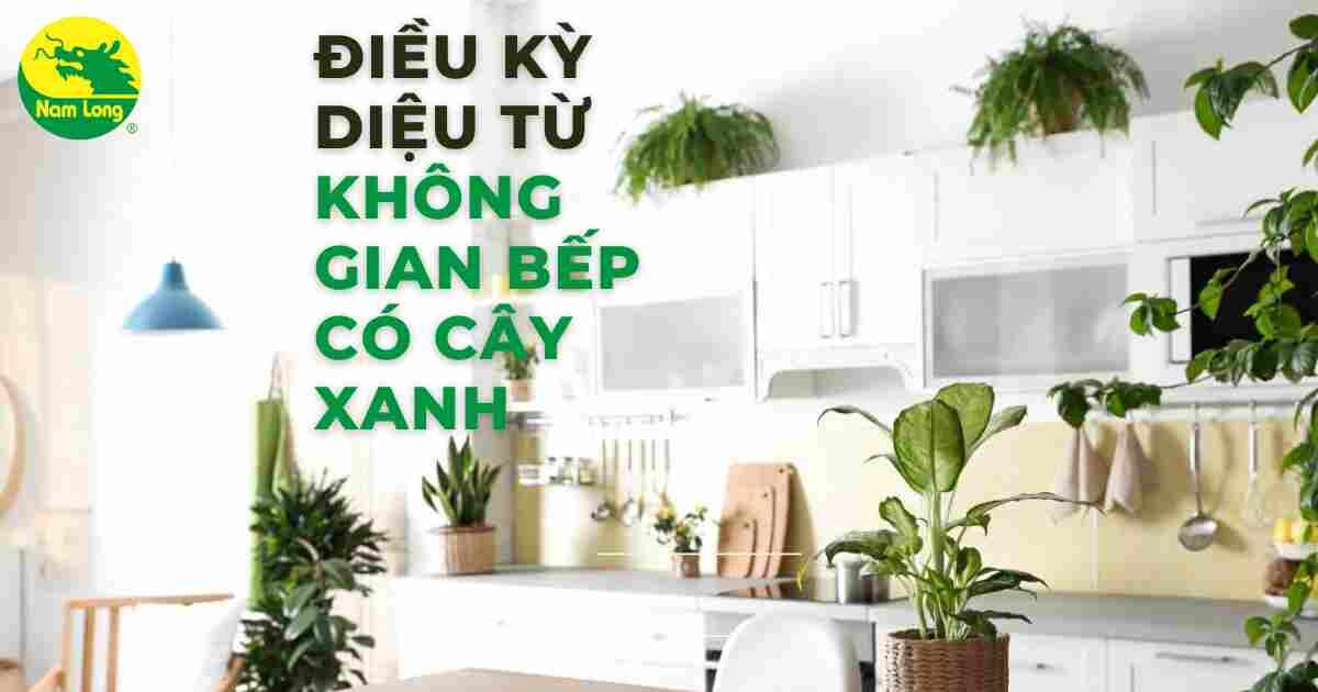 không gian bếp có cây xanh Nam Long