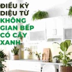 Điều kỳ diệu từ không gian bếp có cây xanh