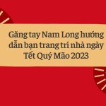 Găng tay Nam Long hướng dẫn bạn trang trí nhà ngày Tết Quý Mão